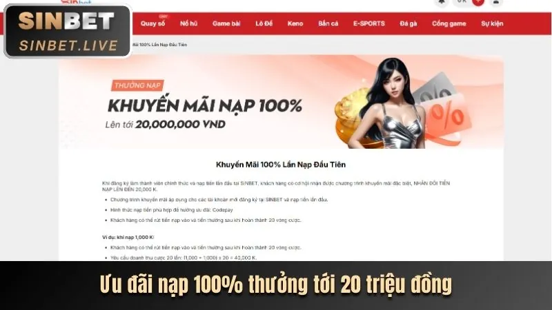 Hoàn trả so5cc win